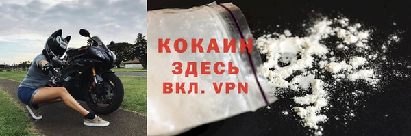 apvp Вяземский