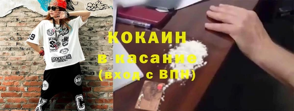 прущие грибы Вязники