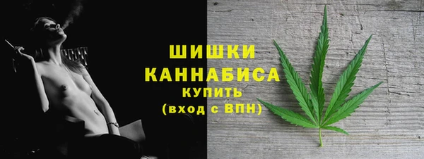 прущие грибы Волосово