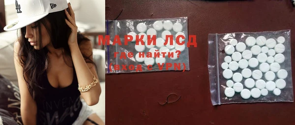 apvp Вяземский