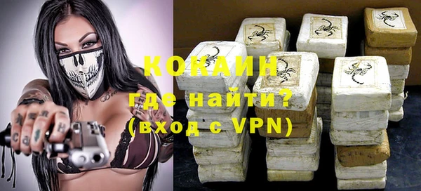 прущие грибы Волосово