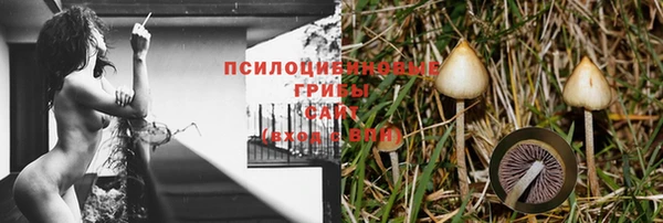 apvp Вяземский