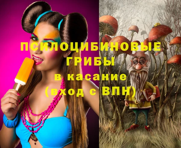 трава Вязьма