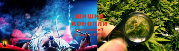 прущие грибы Вязники